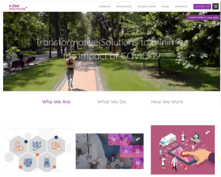 Website Design, Development and SEO
