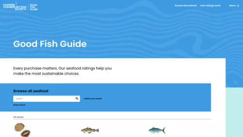 From Drupal 7 to Wagtail | Marine Conservation Society