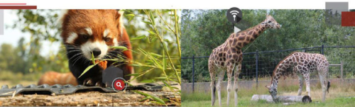 GREATER VANCOUVER ZOO