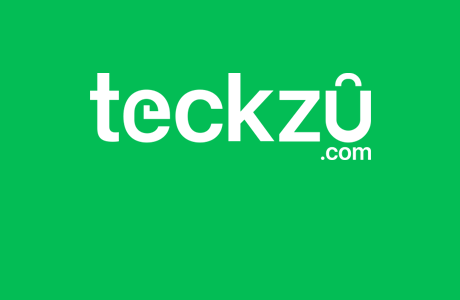 Teckzu SEO Case Study