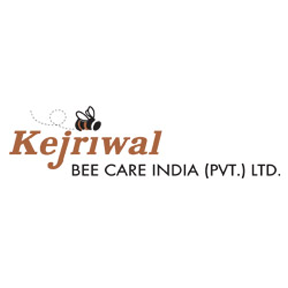 Digital Marketing for Kejriwal Group of Websites