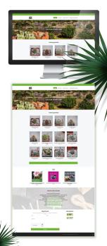 Cactus Online Shop