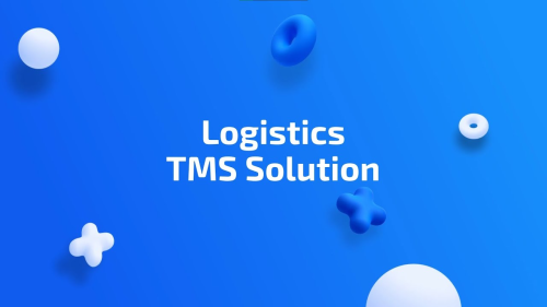 A custom TMS solution