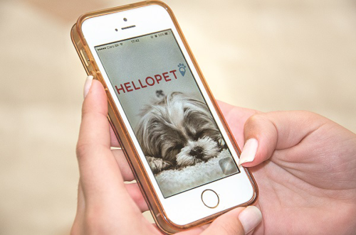 APP HELLOPET