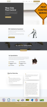 Pest Control Website Design