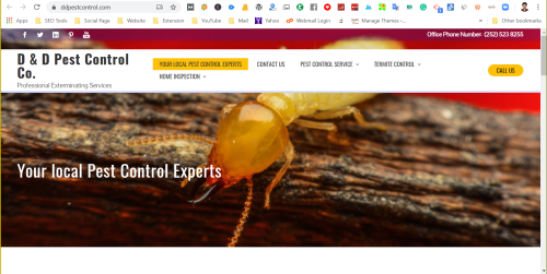 DD Pest Control