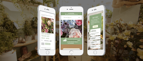 Website Build & eCommerce Development