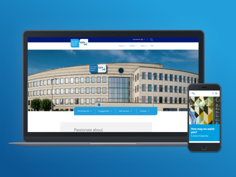 CCV - modern offline and online payment solutions for distributors