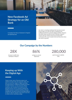 Facebook Ad Campaign Case Study