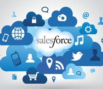 SALES FORCE DESIGN, CUSTOMIZATION, & IMPLEMENTATION