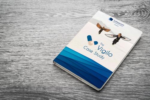 VIGILO  -  .NET development
