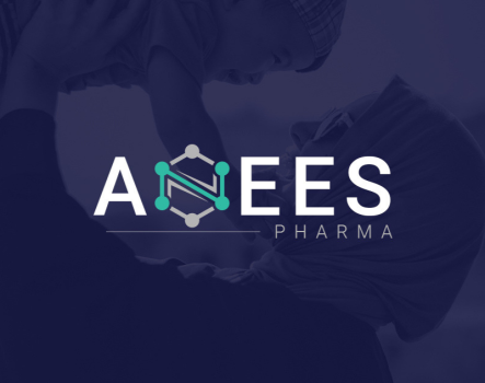 Branding, Company Profile, Web Design & Development