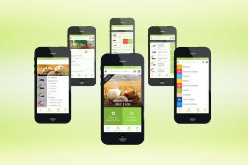 Mobile App Development for CollectingApp