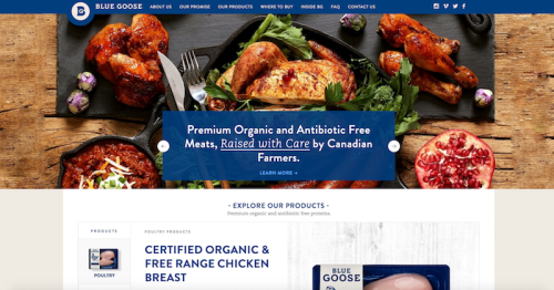 Blue Goose Pure Foods - CPG Marketing
