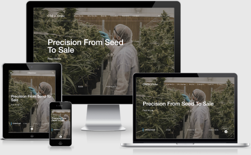 Custom Wordpress Theme Development for CrescoLabs