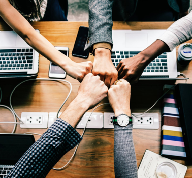 Delivering a global online field-reporting platform