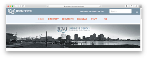 BCNO website design and development