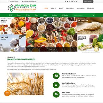 Website Design