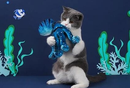 Underwater animal Style Cat Toy