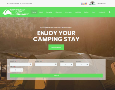 Website development and seo