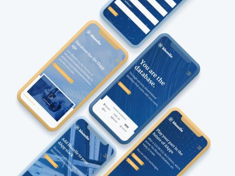 Bluzelle Branding Project
