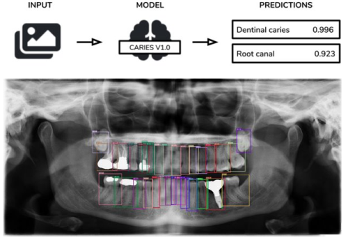 Cutting Edge Dental AI Engineering