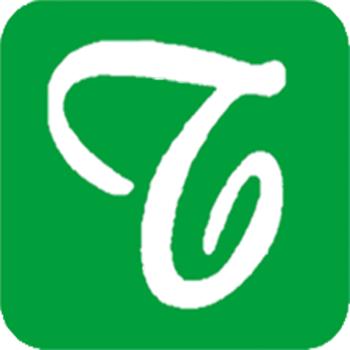 Triveni Electronics