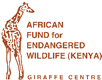 Giraffe Centre