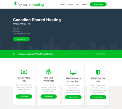 Dynamic Hosting Website & Client Portal Design