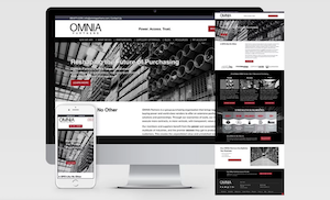 Brand Repositioning, New Website, & Marketing Strategy For Purchasing Organization