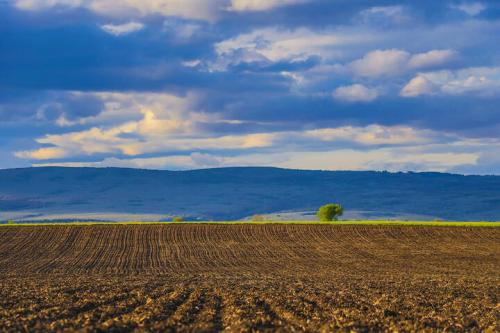 National Crop Sustainability Monitoring System