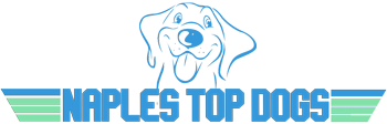Naples Top Dogs