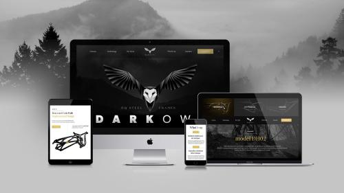 Dark Owl brand strategy and design