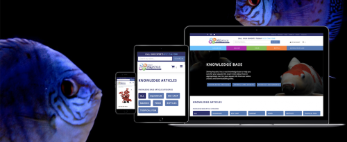 Shirley Aquatics Website Build, SEO, CRO, Digital Strategy