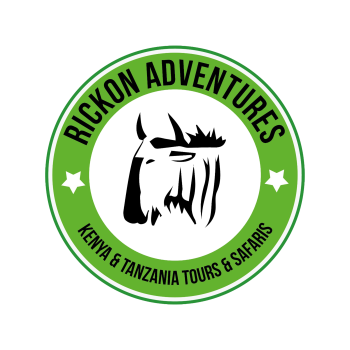 Web development for Rickon adventures