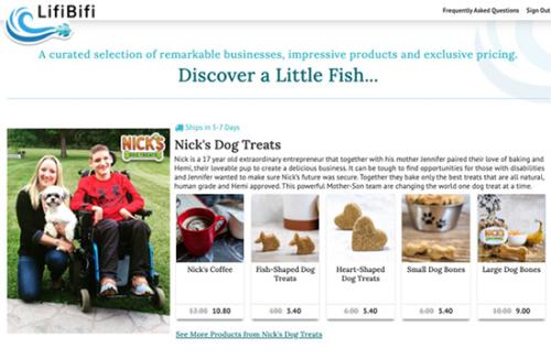 Product Promotional Website