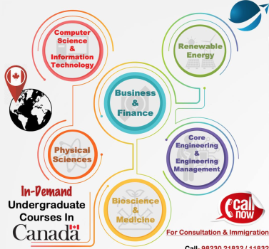 Social Media Marketing for Immigration & Overseas Education