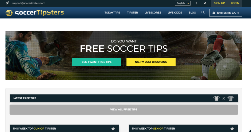 Rebranding a Long Time Website