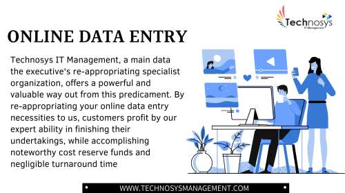 Online Data Entry