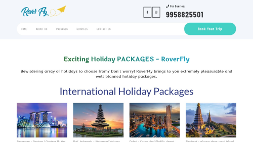 Roverfly - Social Media Marketing & Web Development