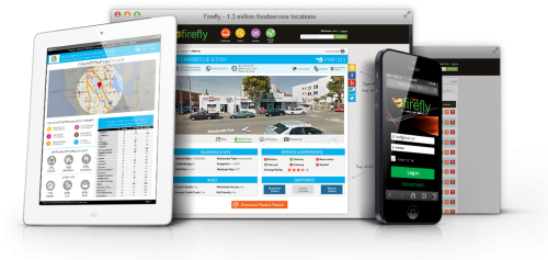 Design and development of web application Firefly
