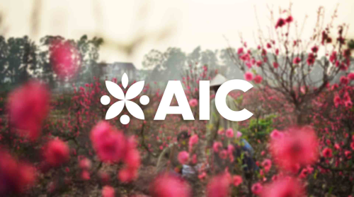 AIC Group - Corporate Feng Shui Branding