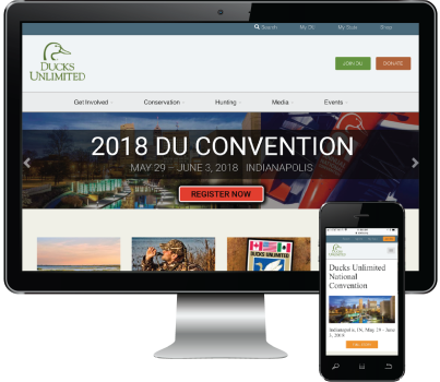 Ducks Unlimited - Ten Thousand Pages of Content with Video and Images Successfully Updated and Migrated to New CMS and the Azure Cloud