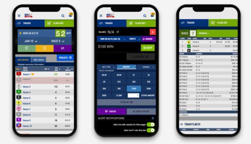 Case Study: Woodbine