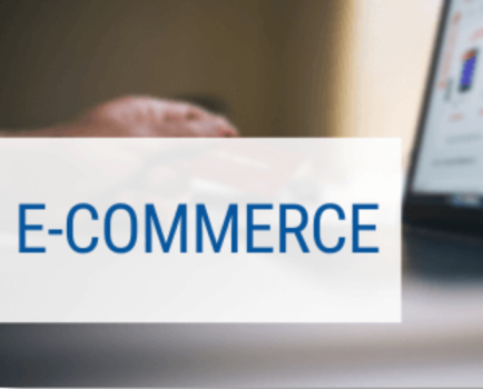 E-commerce Niche