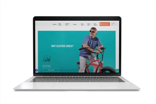 PedeGo Ecommerce