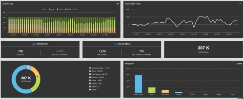 SEO Campaign