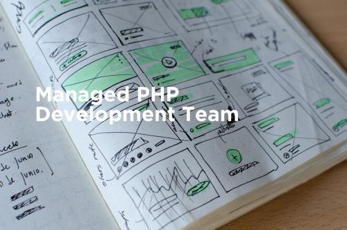 Dedicated Development Team