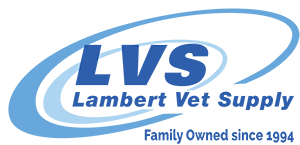 Website Design & Development