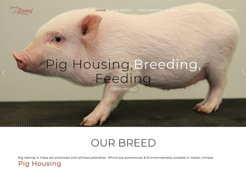 Nirmal Pig Farm